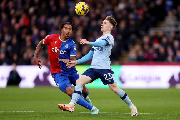 他在尼斯的 他在尼斯的