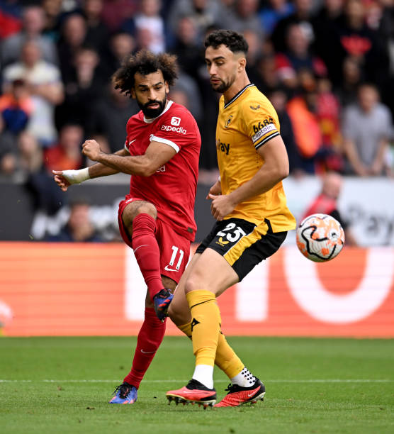 南野共完成 南野共完成